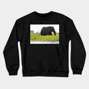 A large male elephant wading in the waters of the Okavango Delta Crewneck Sweatshirt